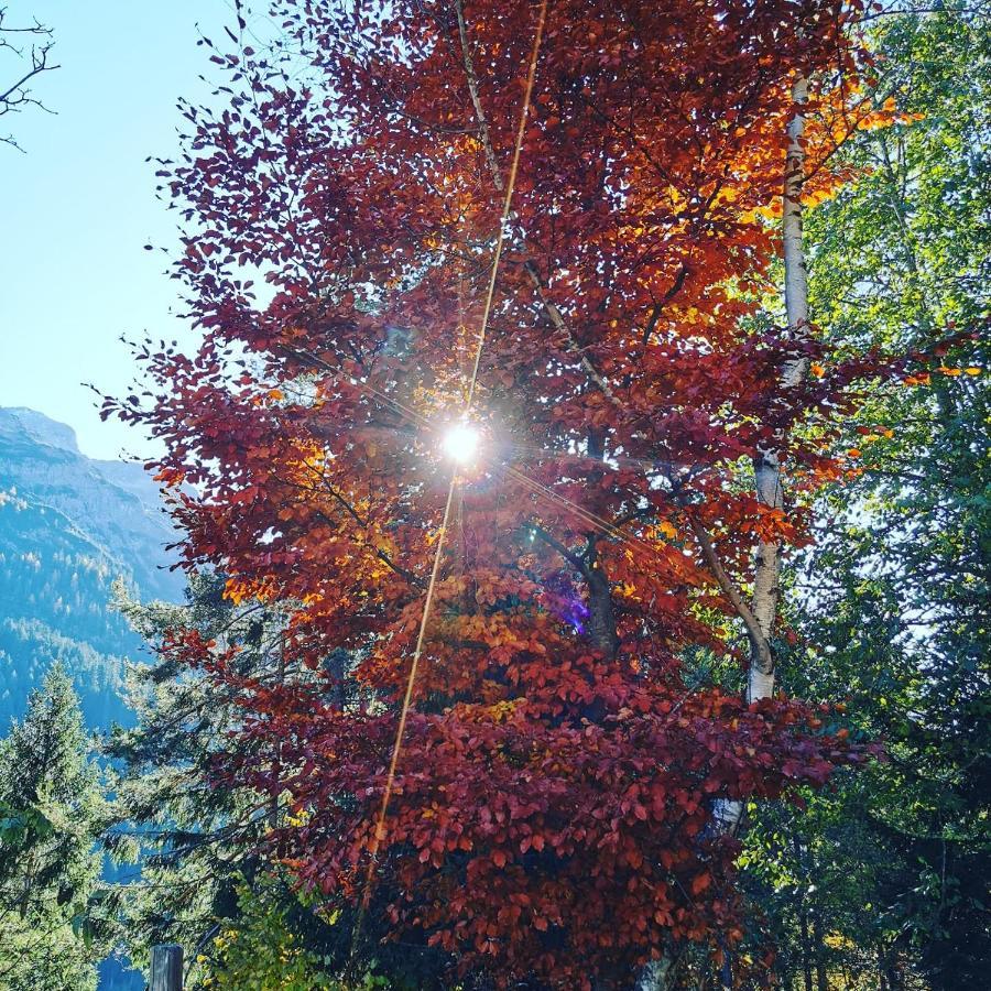 Ferienhaus Hochvogel Hinterhornbach Buitenkant foto